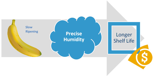 Slow Ripening with Precise Humidity for Longer Shelf Life