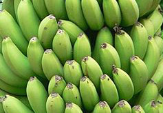 bananas